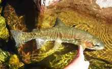 User submitted picture: A different veiw of the 2...