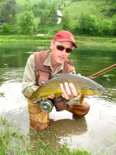 User submitted picture: Brown on dryfly last spri...