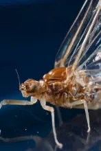 User submitted picture: Up close and personal