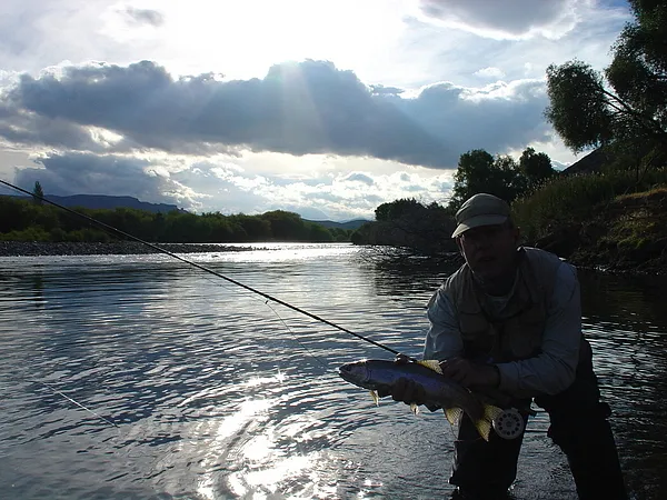 User submitted picture: The backlight through the...