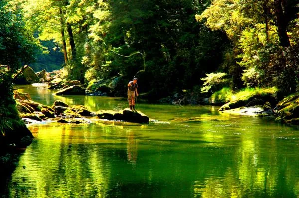 User submitted picture: Green-casting on Mataura