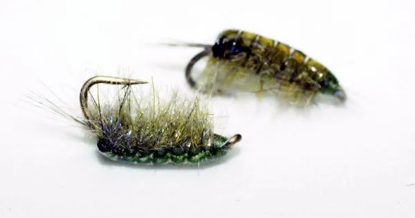 User submitted picture: Olive Diamond Hard Scud