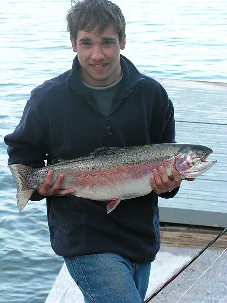 User submitted picture:  Kamloops Rainbow 11 poun...