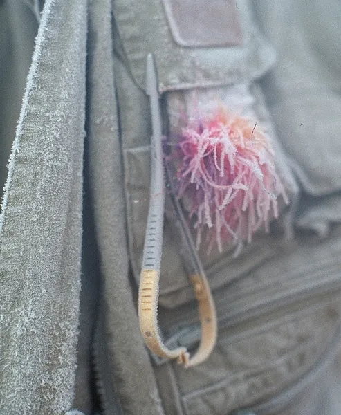 User submitted picture: Frozen Popsicle