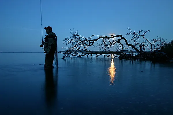 User submitted picture: On the Look-Out for Sea T...