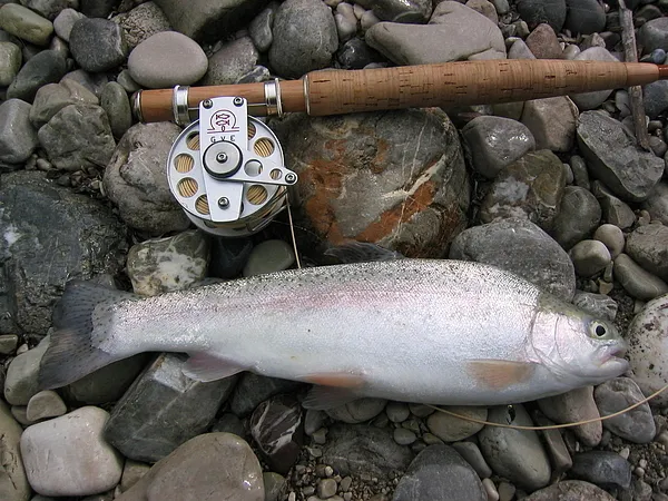 User submitted picture: Isar rainbow