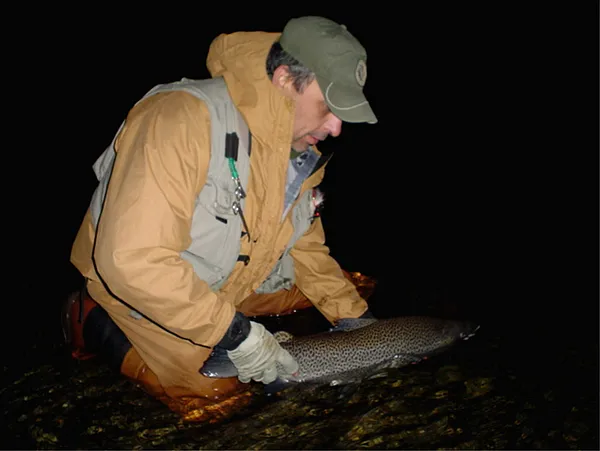 User submitted picture: Sea run brown trout  Tier...